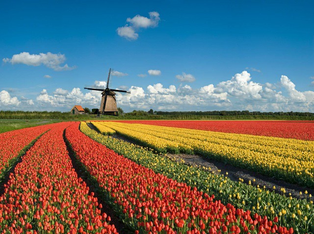 10 интересных фактов о Голландии, фото № 10