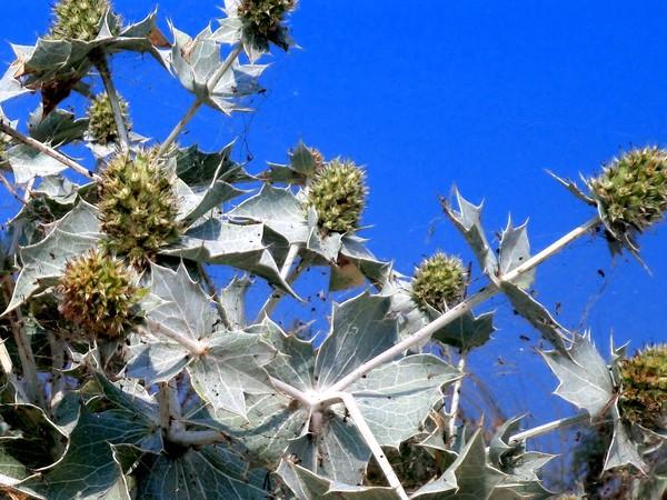 Море осенью- это песня!, фото № 17