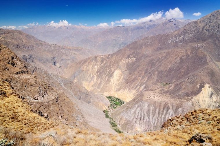 Поездка в Перу (часть 6). Животный мир и другое. Посещение каньона., фото № 7