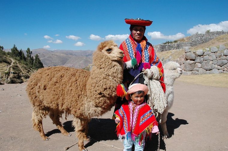 Поездка в Перу (часть 6). Животный мир и другое. Посещение каньона., фото № 23