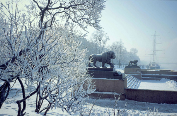 Зимний Петербург. Подборка красивых фотографий. Часть 2, фото № 33