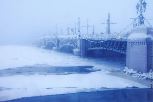Зимний Петербург. Подборка красивых фотографий. Часть 2, фото № 41