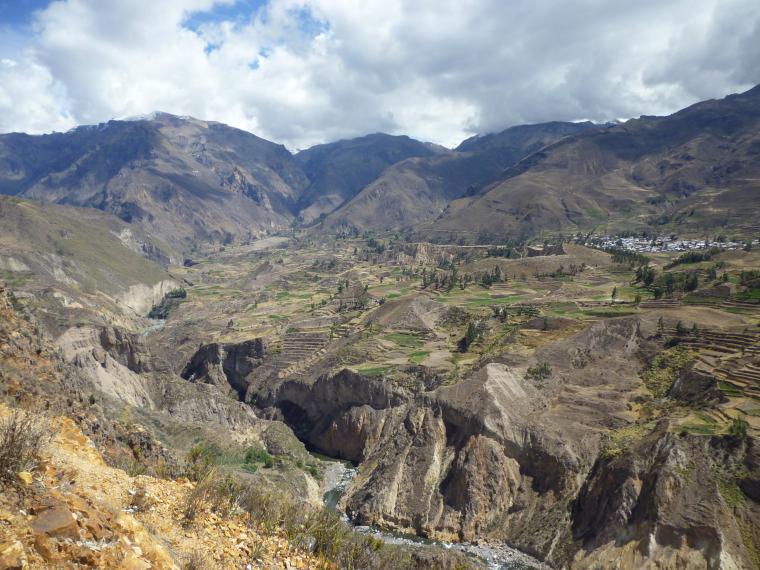 Поездка в Перу (часть 6). Животный мир и другое. Посещение каньона., фото № 9