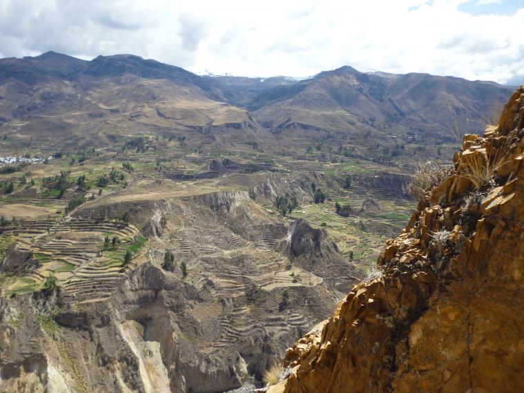 Поездка в Перу (часть 6). Животный мир и другое. Посещение каньона., фото № 8