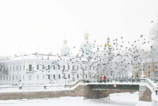 Зимний Петербург. Подборка красивых фотографий. Часть 2, фото № 15