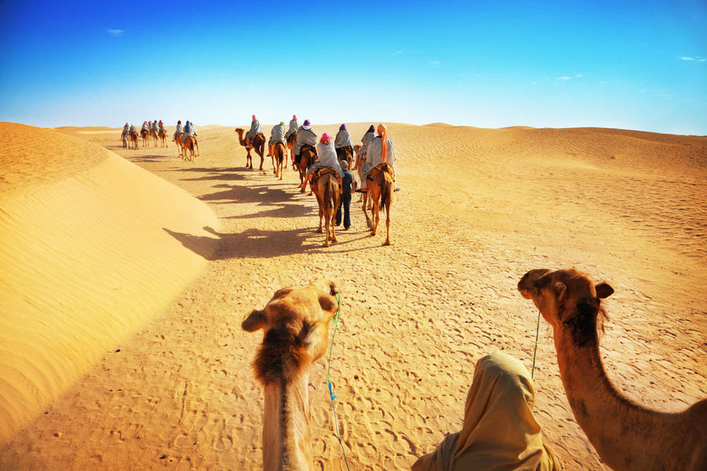 Тунис. Пустыня  Сахара!!!, фото № 59