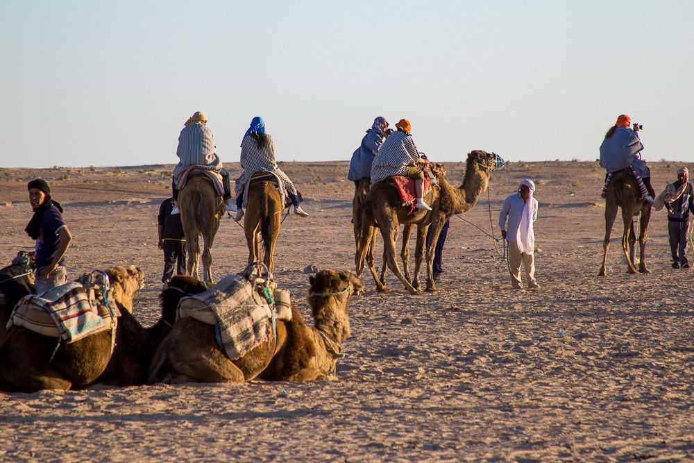 Тунис. Пустыня  Сахара!!!, фото № 53