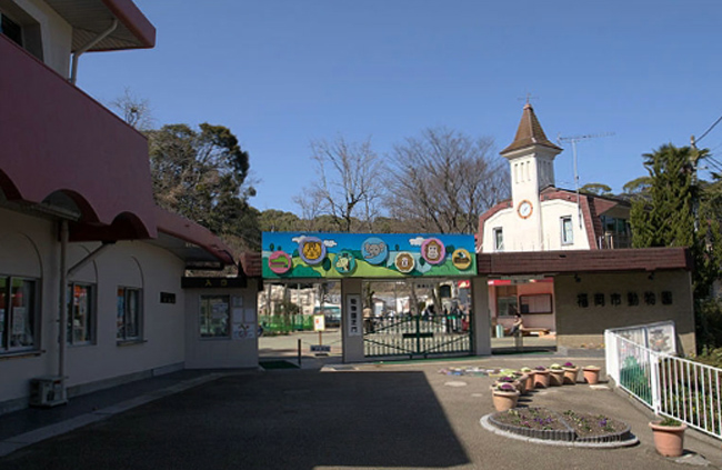 Городской зоологический сад