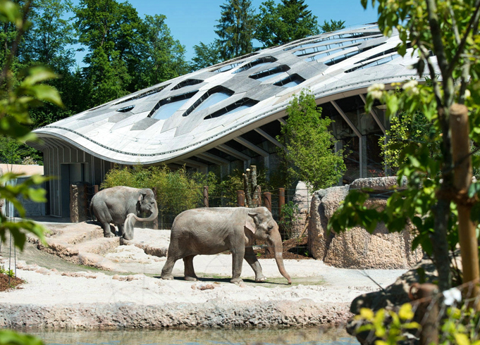 Зоопарк Цюриха