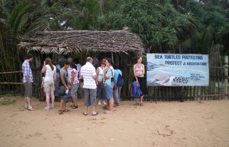 Sea Turtle Protection Association
