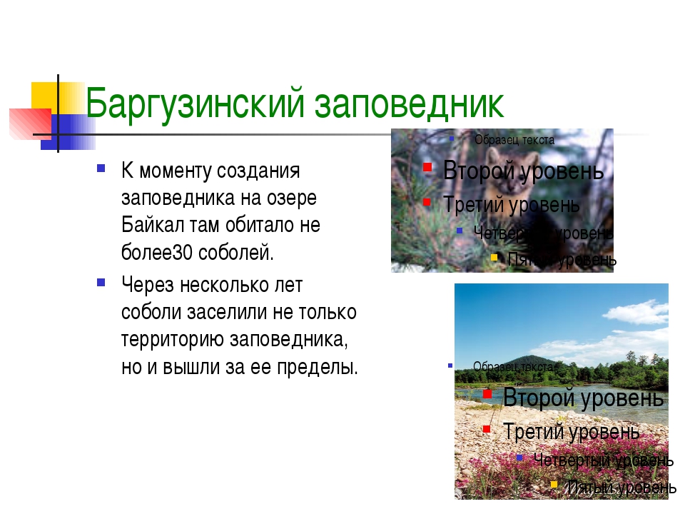 Зачем во всех странах создают заповедники. Заповедники и национальные парки России 4 класс окружающий мир проект. Презентация на тему национальные парки.
