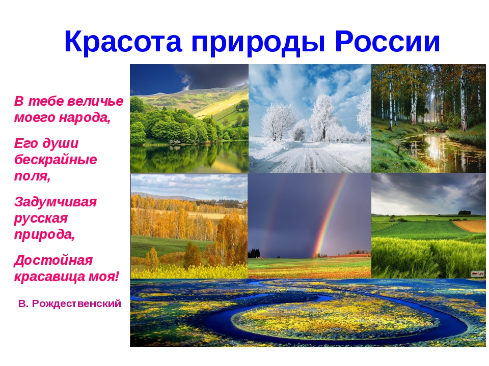 Удивительная природа 3 класс. Природа для презентации. Проект на тему природа. Проект на тему природа России. Презентация на тему природа.