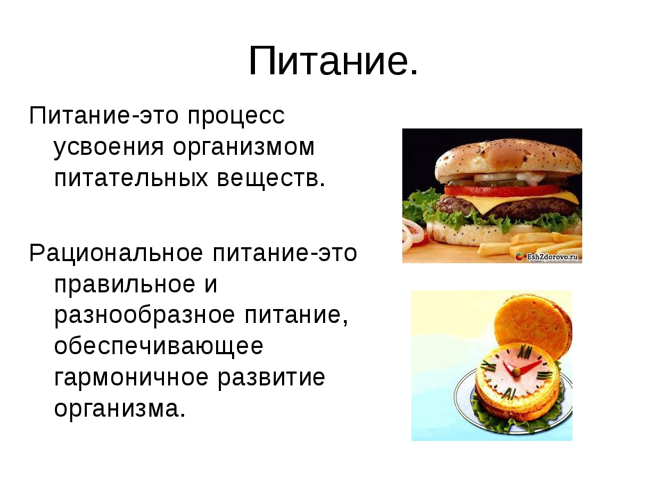 Пища определенный. Питание это определение. Питание это кратко. Питание это определение кратко. Рациональное питание это определение кратко.