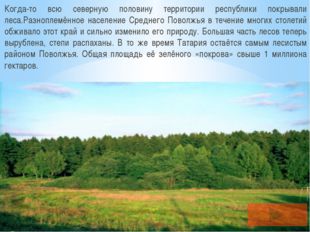 Когда-то всю северную половину территории республики покрывали леса.Разнопле