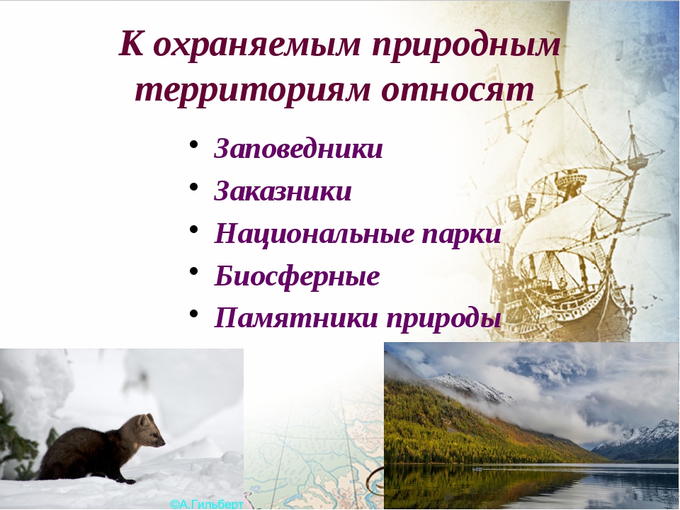 Сохранение заповедников и национальных парков. Охрана природы заповедники заказники национальные парки. Заповедники заказники национальные парки памятники природы. К охраняемым природным территориям относят. Что такое национальный заповедник заказник.