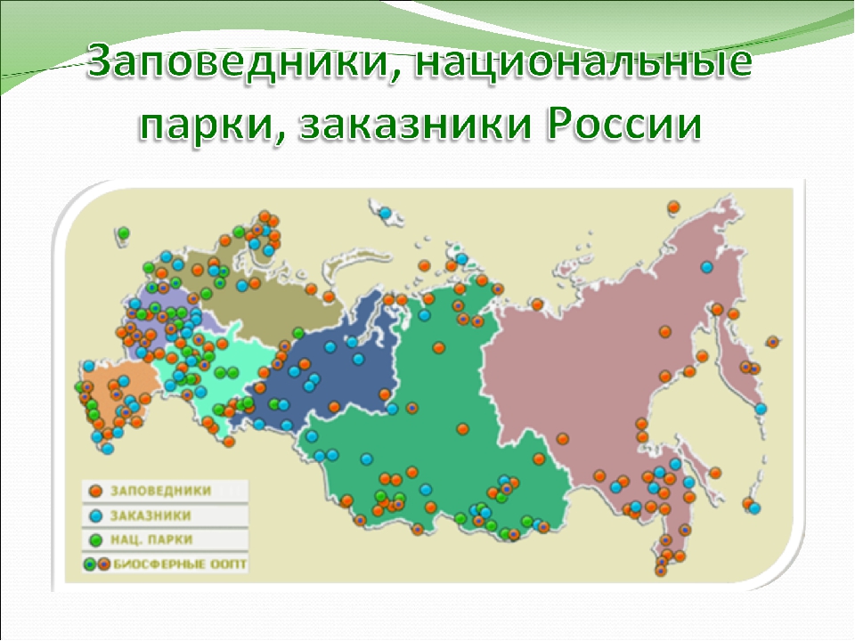 Карта природных территорий. Карта России заповедники и национальные парки России. Карта особо охраняемые природные территории России 8 класс. Карта заповедников заказников и национальных парков России. Заповедники национальные парки заказники России на карте.