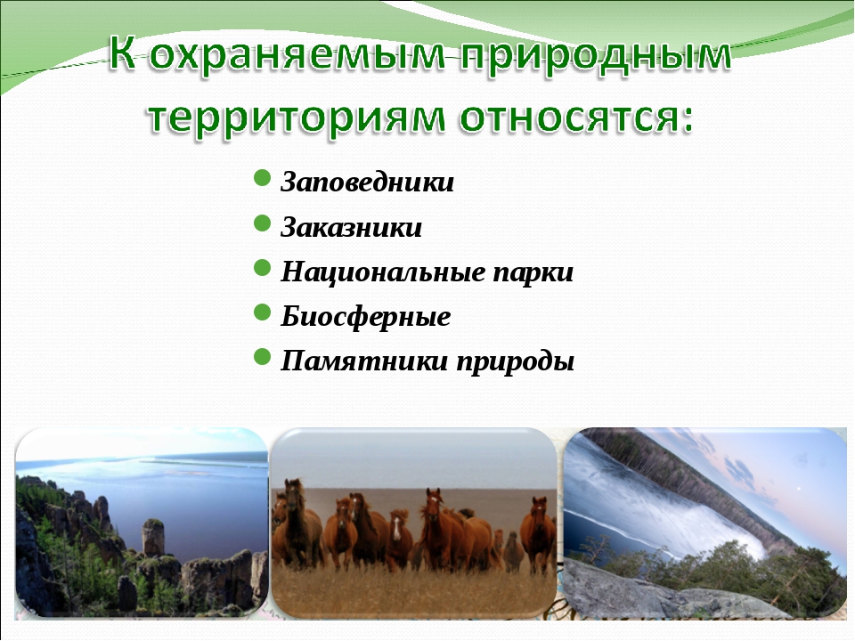 Охрана национальных парков. Заповедники заказники нац парки. Заповедники заказники национальные парки памятники. Охрана природы заповедники. ООПТ заповедники национальные парки.