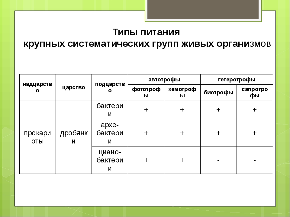 Типы питания. Типы питания живых организмов таблица 6 класс биология. Типы питания организмов таблица 10 класс. Типы питания организмов таблица 11 класс. Типы питания живых организмов схема.