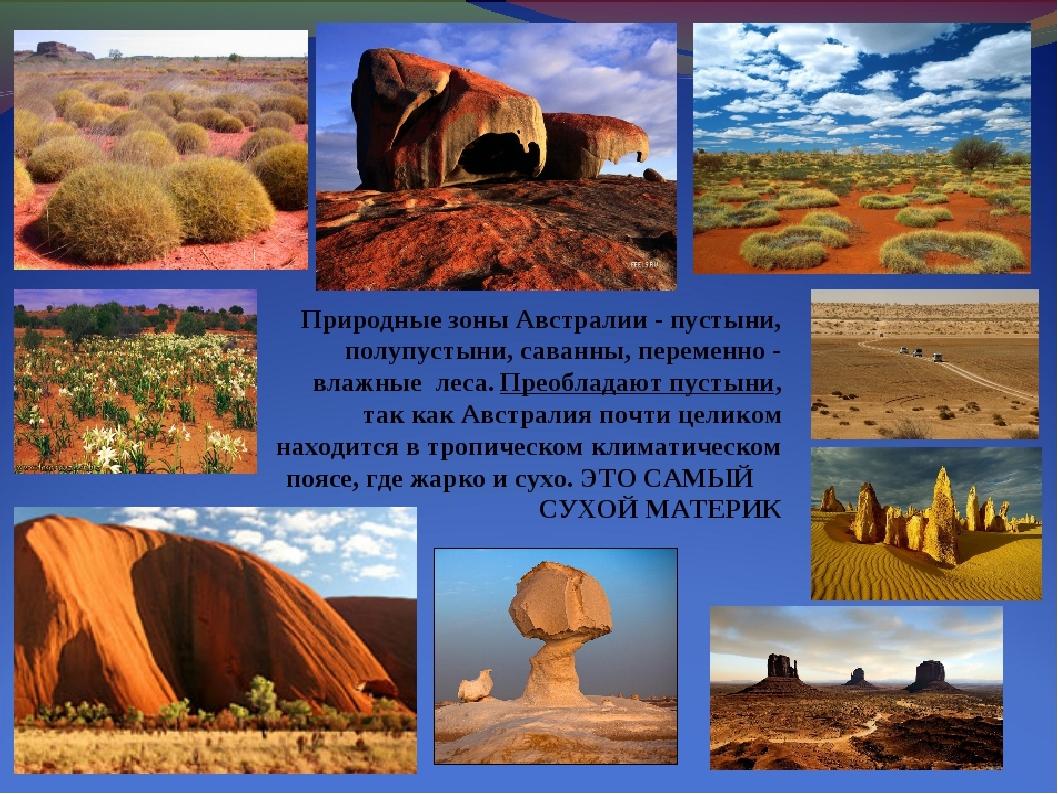 Природные объекты расположены на территории сша. Пустыни и полупустыни Австралии. Пустыни полупустыни растительный Австралия. Природные зоны Австралии пуст.