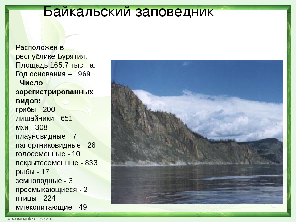 3 заповедника. Байкальский заповедник доклад. Байкальский заповедник сообщение. Байкальский заповедник России доклад. Описание заповедника.