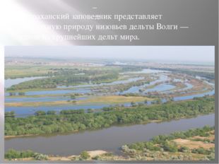 Астраханский заповедник представляет уникальную природу низовьев дельты Волг