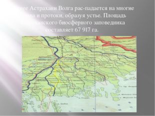 Южнее Астрахани Волга рас­падается на многие рукава и протоки, образуя устье.