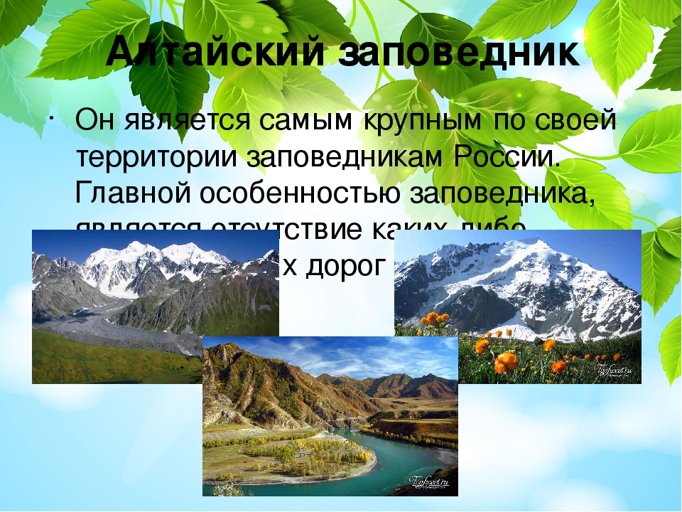 Про заповедник. Заповедники России 3 класс. Заповедники России 3 класс окружающий мир. Что такое заповедник 3 класс окружающий мир. Сообщение по окружающему миру 3 класс на тему заповедники России.