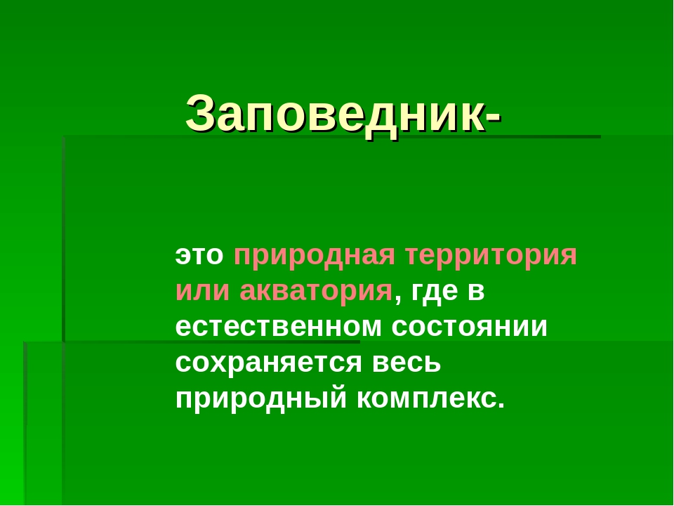 Заповедники кратко детям