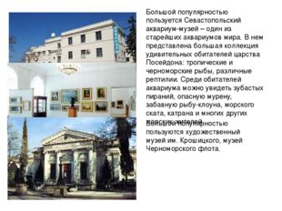 Большой популярностью пользуется Севастопольский аквариум-музей – один из ста