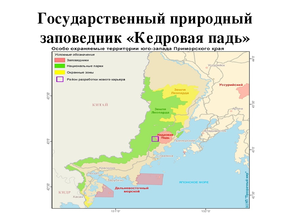 Какие заповедники находятся на территории приморского. Кедровая Падь заповедник на карте России. Заповедник Кедровая Падь на карте. Национальные парки и заповедники Приморского края карта. Схема национального парка земля леопарда.