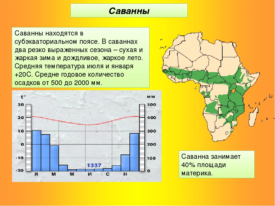 Количество осадков поясов. Осадки в саванне. Климатический пояс саванны. Осадки в саванне Африки. Количество осадков в саванне.