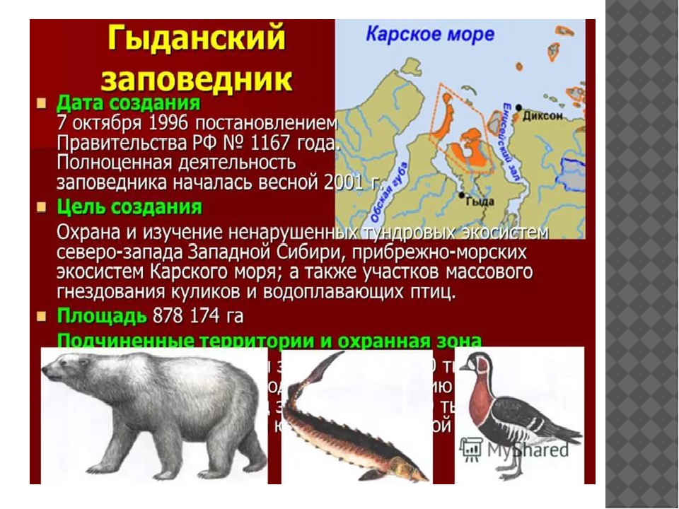 Презентация заповедники тюменской области