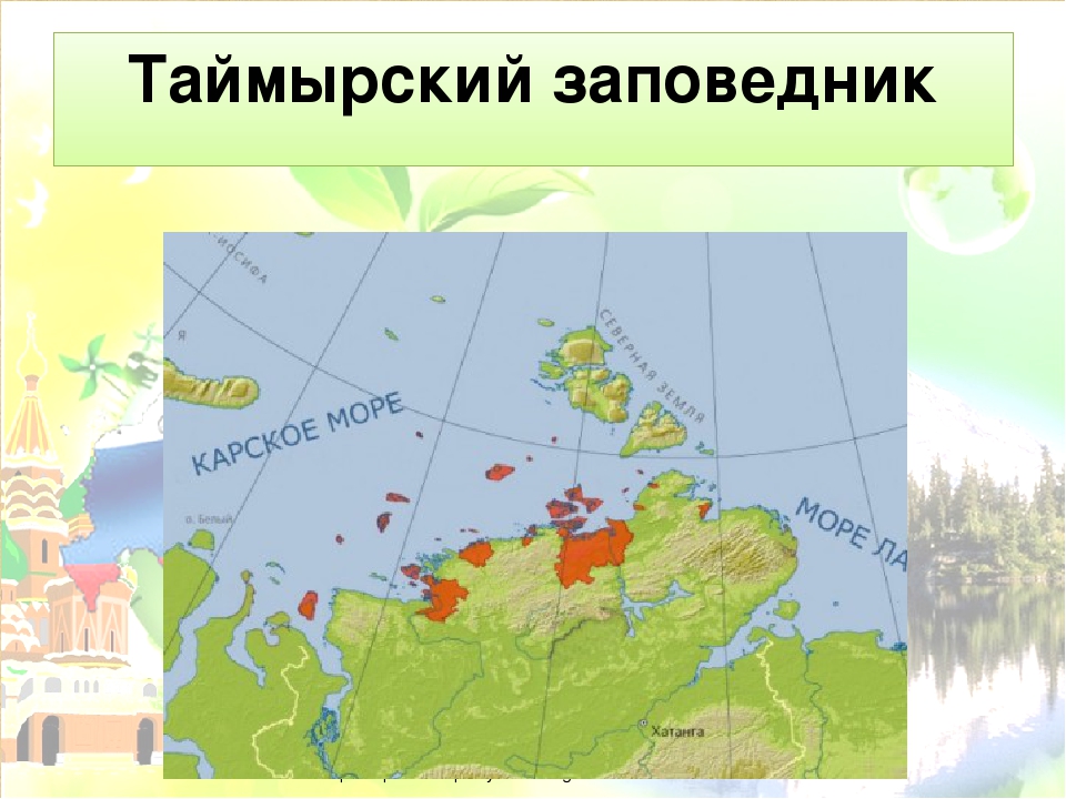 Где находятся горы бырранга на карте. Таймырский заповедник на карте России. Таймыский заповедник еа карта России. Таймырский биосферный заповедник на карте. Таймырский заповедник расположение.