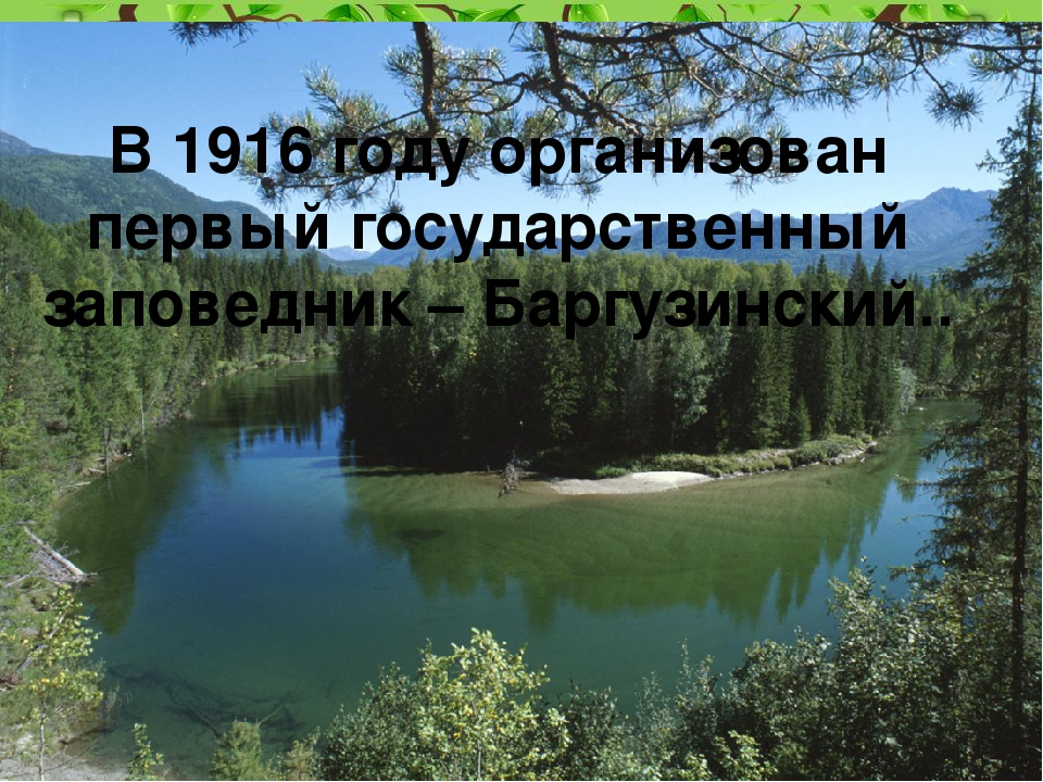 Окружающий мир заповедник. Презентация на тему заповедники. Национальные парки нашего края. Что такое заповедник 3 класс окружающий мир. Заповедник презентация 3 класс.