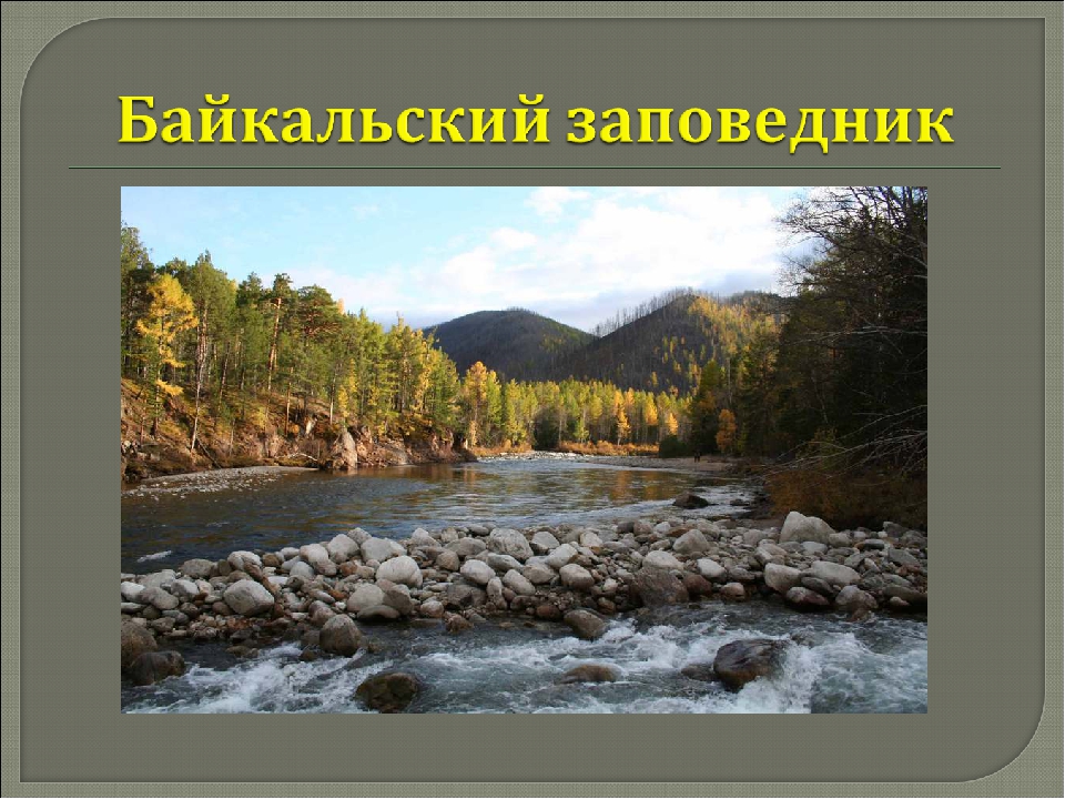 Название заповедников. Внутренние воды Байкальского заповедника. Балтийский заповедник в России. Байкальский заповедник 3 класс. Байкальский заповедник надпись.