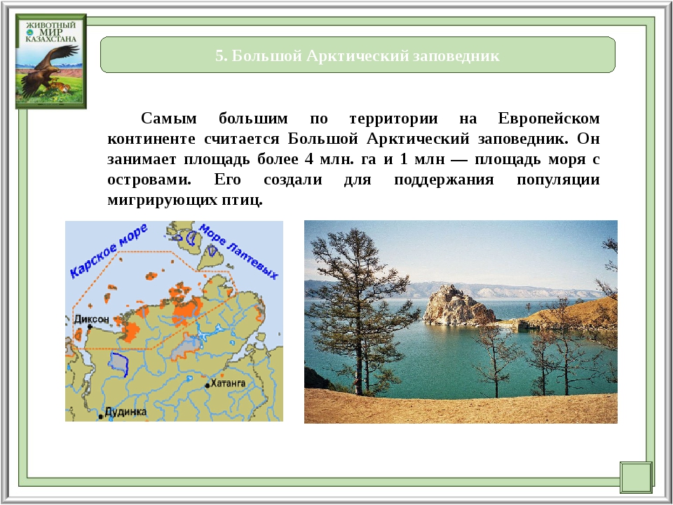 Крупные заповедники. Большой Арктический заповедник на карте. Большой Арктический заповедник на карте России. Большой Арктический заповедник местоположение. Местоположение арктического заповедника.