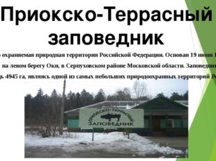Приокско-Террасный заповедник Особо охраняемая природная территория Российско