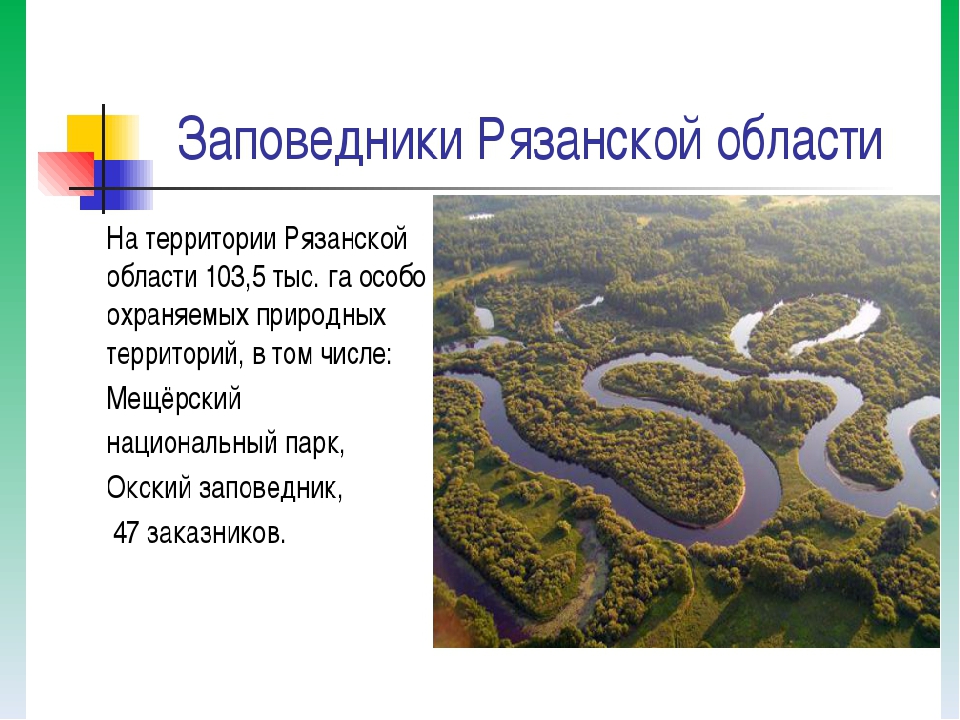 Заповедники проект. Заповедники и парки в Рязанской области. Особо охраняемые территории Рязанской области. Заповедные зоны Рязанской области. Мещерский заповедник в Рязанской области проект.