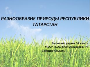 Выполнил ученик 3А класса МБОУ «СОШ №3 г.Азнакаево» РТ Байкин Камиль РАЗНООБ