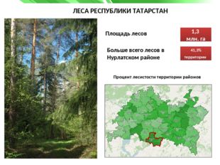 ЛЕСА РЕСПУБЛИКИ ТАТАРСТАН Площадь лесов Процент лесистости территории районов