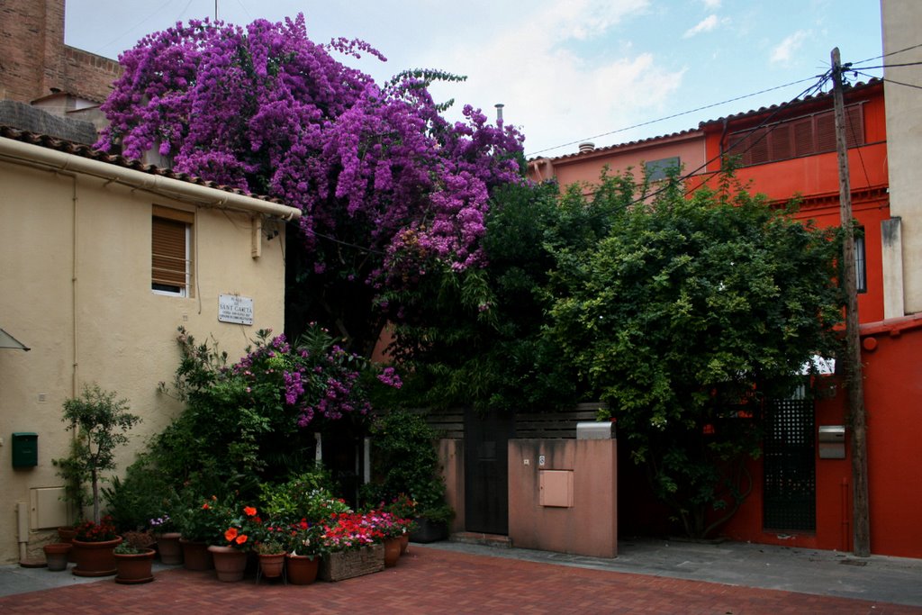 Барселона, Plaça de Sant Gaietà. Главная прелесть Plaça de Sant Gaietà – горшки с геранью