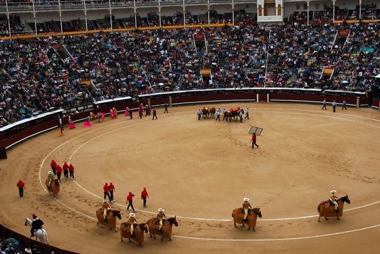Арена для боя быков в Мадриде