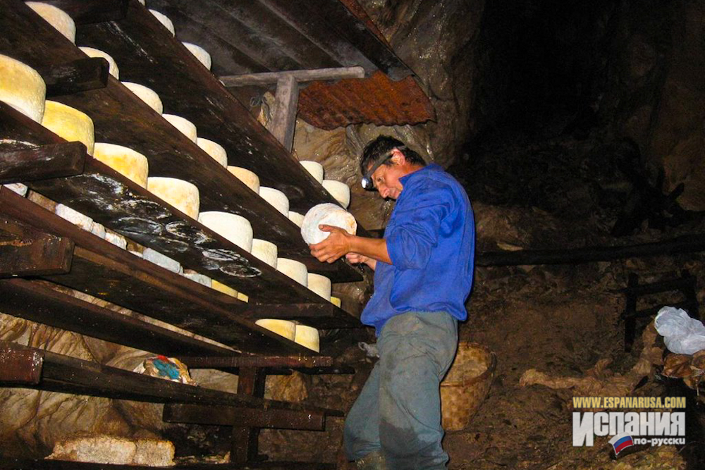 Козий сыр в Испании: производство и хранение