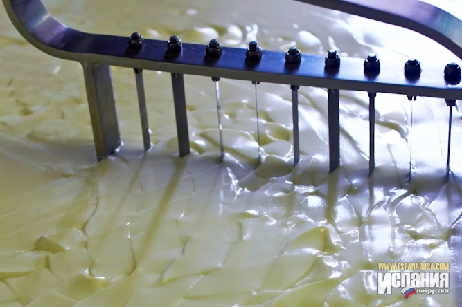 Производство сыра в Испании