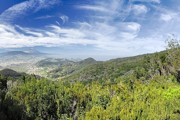 Вид с Mirador de Cruz del Carmen