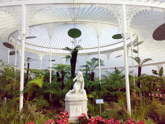 Ботанический сад Глазго оранжерея