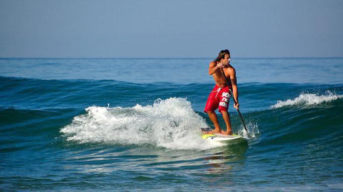sup серфинг универсальное водное развлечение и спорт