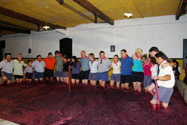 Технология изготовления вина Порто