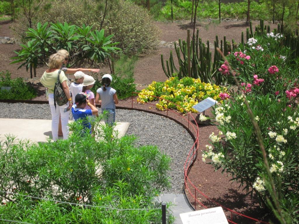 Маршруты в ботаническом саду Гуимар на Тенерифе, Канарские острова