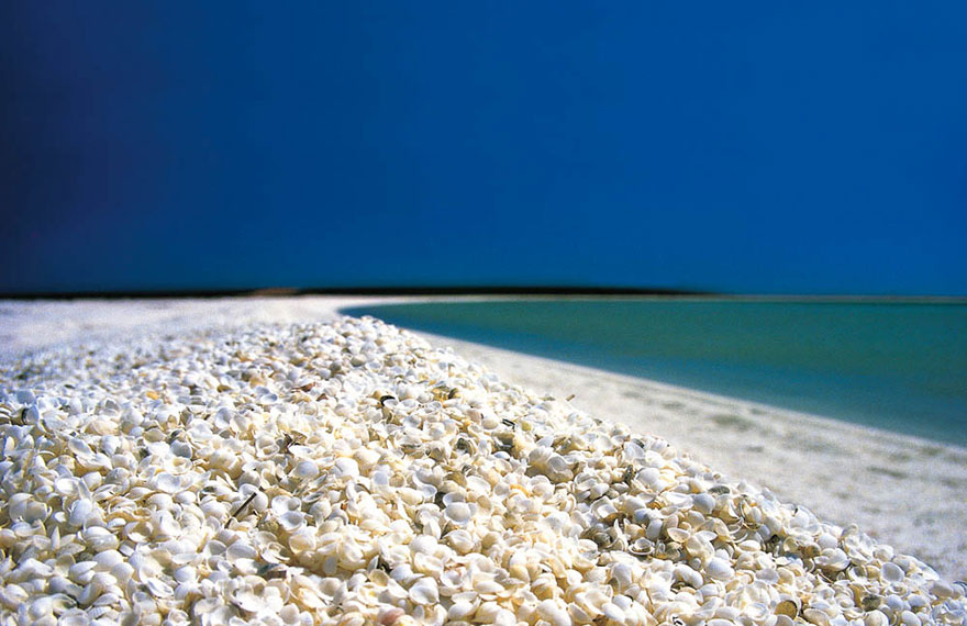 13. Ракушечный пляж в Акульем заливе, Австралия.